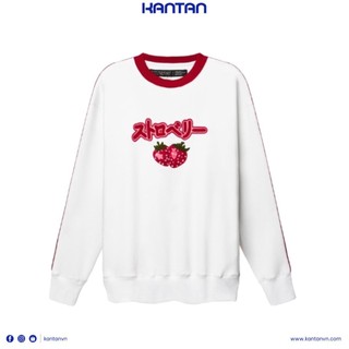 Áo sweater thun nỉ thêu bông xù trái dâu