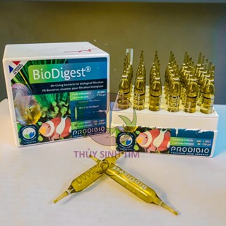 Vi Sinh Sống BioDigest PRODIBIO (1 ống)