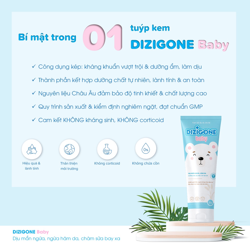 Bộ ba hăm tã - chàm sữa - mẩn ngứa dung dịch dizigone 300ml & xịt dizigone - ảnh sản phẩm 5