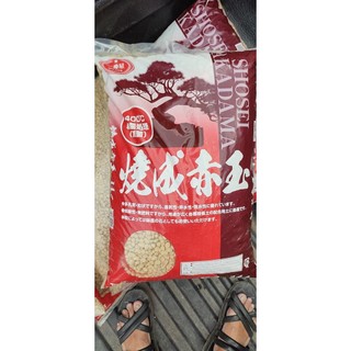 Đất sét Nung AKADAMA size 0,5-1,2 cm