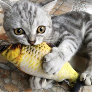 Cá Nhồi Bông Đồ Chơi Cho Thú Cưng