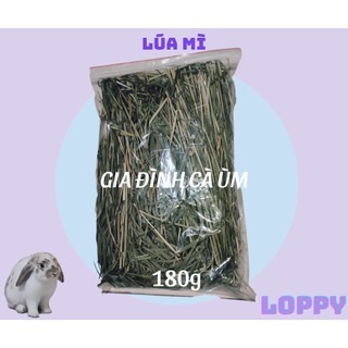 [TẶNG 1 viên oxbow cho đơn từ 50k]Cỏ lúa mì ăn vặt cho thỏ/chuột lang