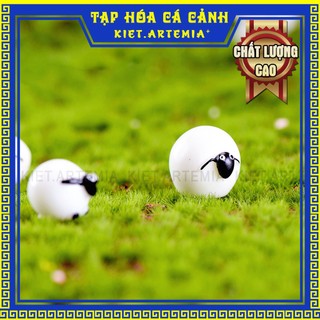 Trang trí bể cá - tượng cừu tròn, tiểu cảnh bể cá, sen đá, terrarium, trang trí bể cá mini