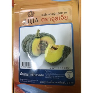 Hạt giống bí ngô sữa quả tròn nhập khẩu thái lan nguyên bao bì