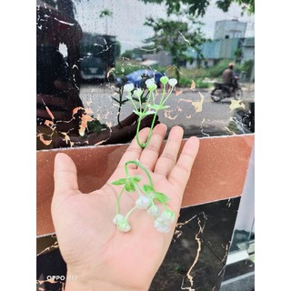 Điểm cỏ bi 160k 1kg