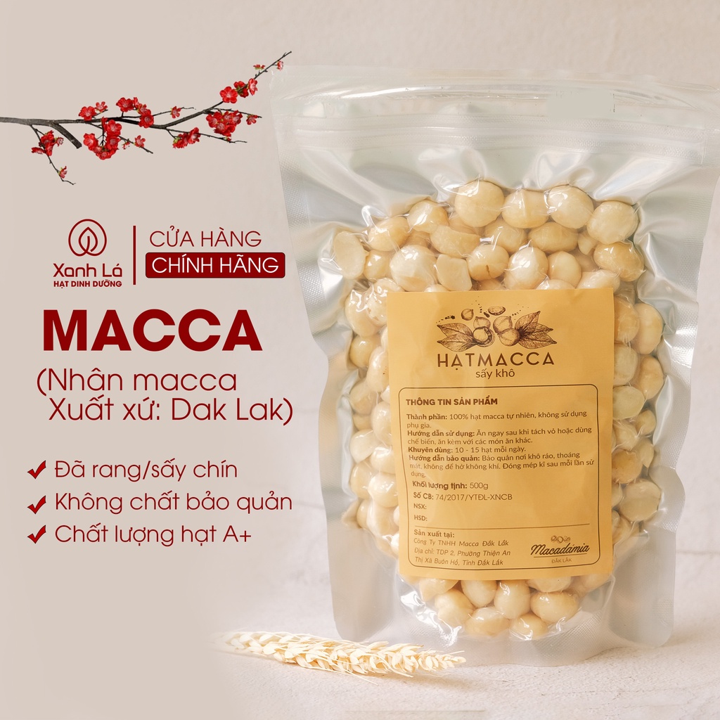 Nhân Macca tách vỏ sạch Đăk Lăk (hàng công ty chính hãng tuyển chọn ATVSTP) Xanh Lá