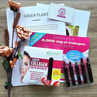 Collagen nước dạng ống Applied Nutrition Liquid Collagen Drink Mix 4000 Mg