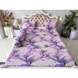 Bộ 4 drap/ga áo gối THUN LẠNH HÀN QUỐC