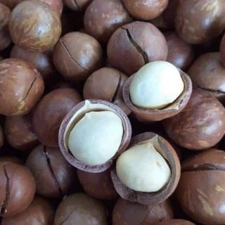 500Gr hạt mắc ca cưa vỏ ăn liền
