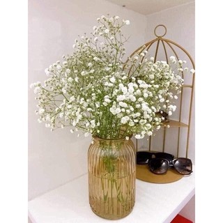 Bình hoa pha lê decor, lọ hoa pha lê vintage