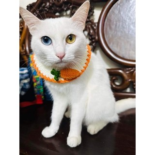 Yếm len cà rốt cho thú cưng (Ảnh shop tự chụp)