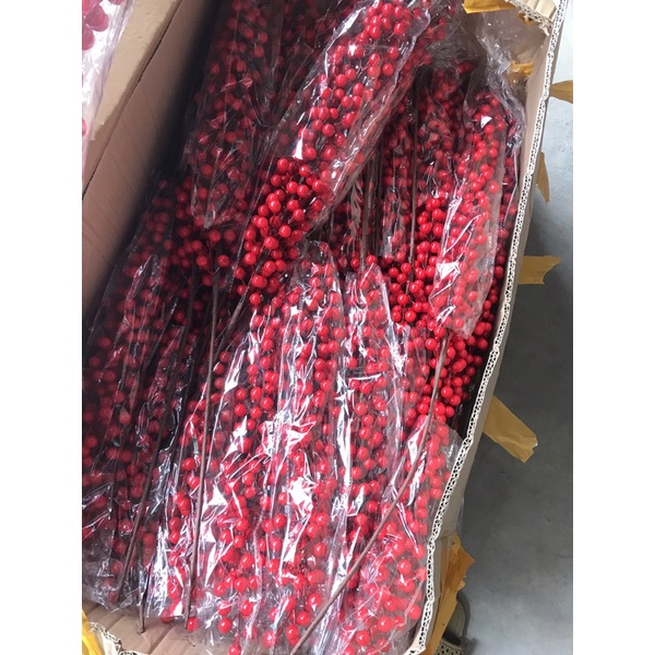 Càng đào đông 12 nhánh