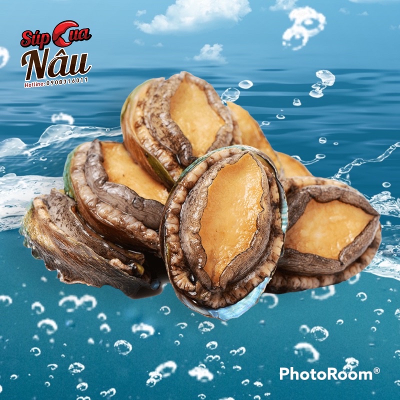 Bào ngư Hàn Quốc size 18-20con/kg