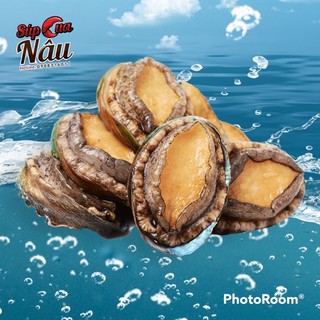 Bào ngư hàn quốc size 18-20con/kg