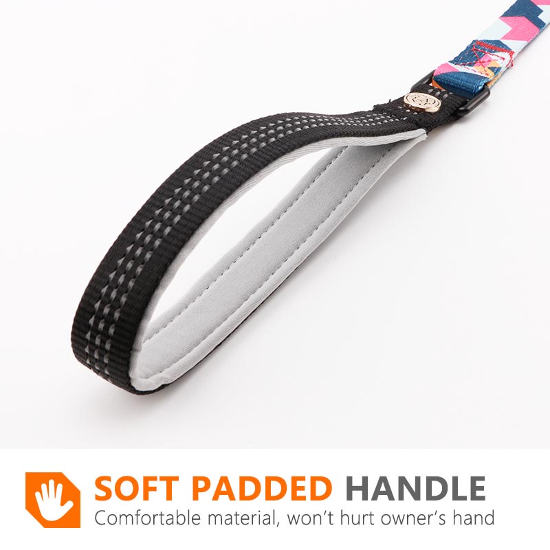 HamshMoc Dây Dắt Thú Cưng Đi Dạo Bằng Nilon Đệm Mềm Với Móc Khóa Họa Tiết Hoa Phản Quang Cho Cún Cưng Cỡ Nhỏ / Vừa / 2