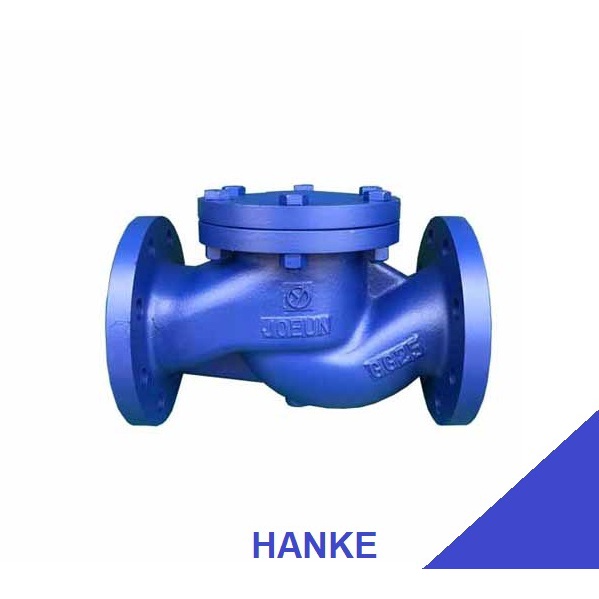 Van 1 chiều gang Joeun PN16 hơi nóng, Van 1 chiều hàn quôc, van 1 chiều Hàn Quốc, van giá rẻ