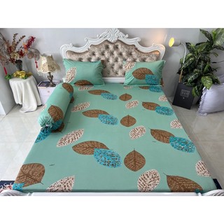 Bộ drap thun hàn quốc 4 món mát mịn
