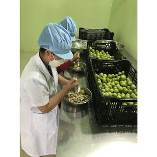 Táo sấy dẻo Ninh Thuận - Đất Nắng 150g