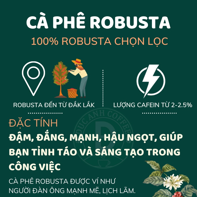 1kg Cà Phê Robusta Rang Mộc Nguyên Chất D COFFEE Đậm Vị, Cafein Cao, Hậu Ngọt, Cà Phê Đức Anh