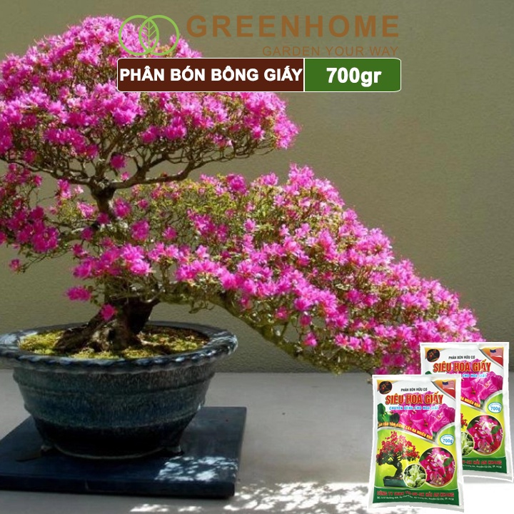 Phân bón hoa giấy Greenhome, bao 700gr, hữu cơ, giúp thân cứng cáp, ra bông nhiều, lâu tàn