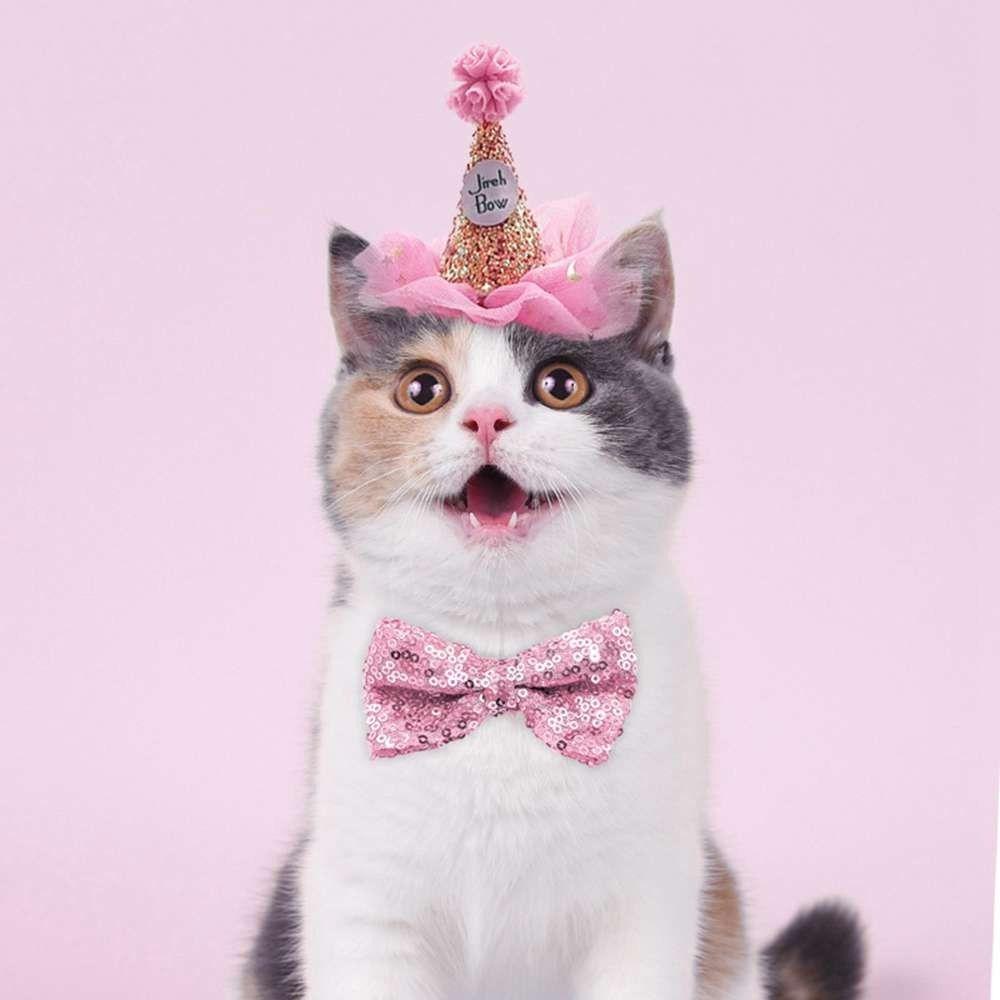 Băng Đô Nơ Sinh Nhật Cho Thú Cưng