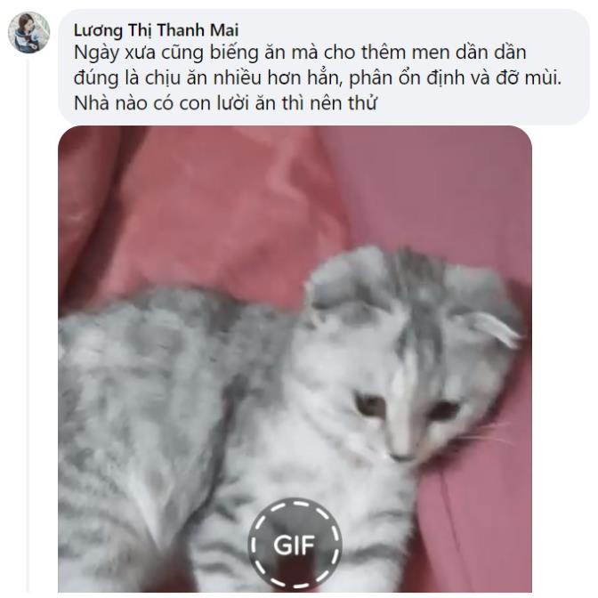 Men vi sinh BIOLINE G1 chó mèo giảm tiêu chảy, táo bón, biếng ăn, tắc búi lông, hôi phân 50gr phù thủy mèo