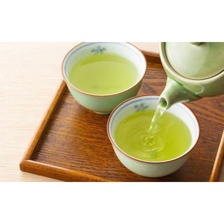 6 Cây chè Shan tuyết