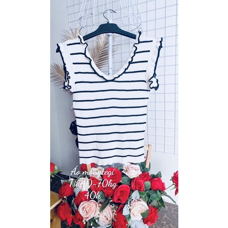 Áo len mongtegi kiểu