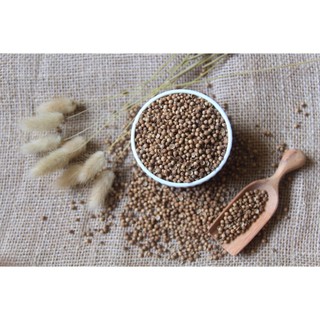 HẠT MÙI (HẠT NGÒ) KHÔ 100GR