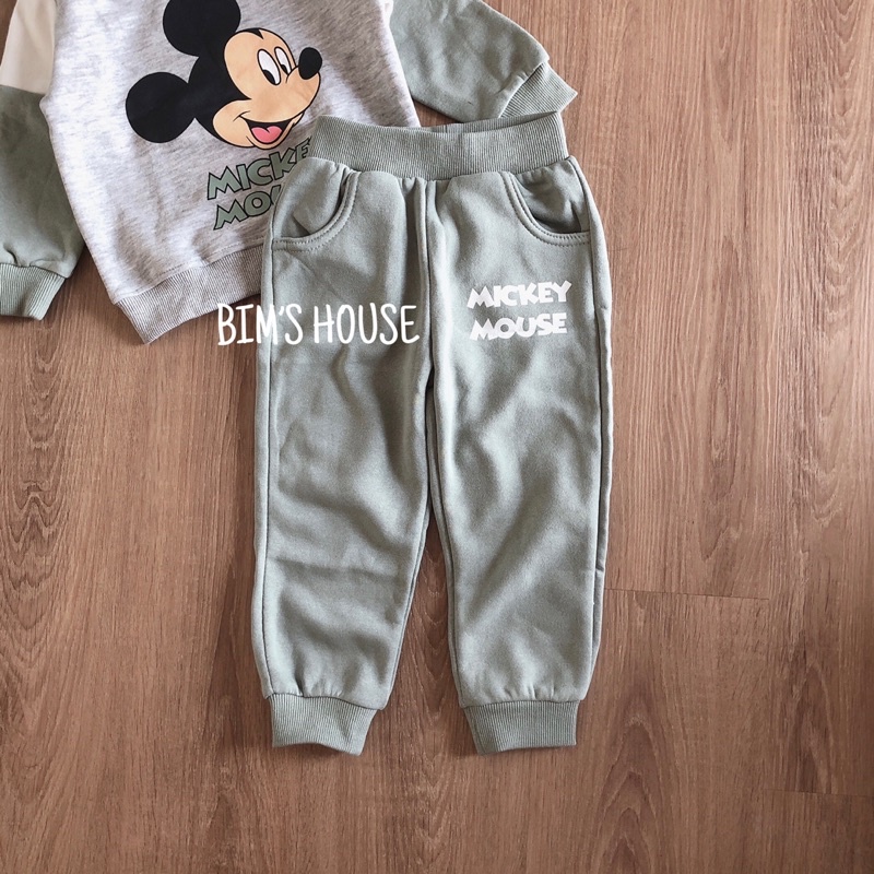 Bộ micky nỉ bông