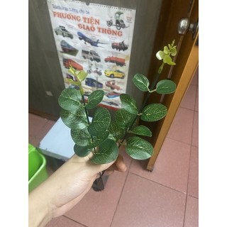 500 gam lá táo rời làm hoa