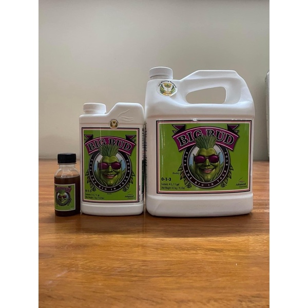 Phân bón Bigbud - Big Bud kích hoa to, tăng điểm nở hoa