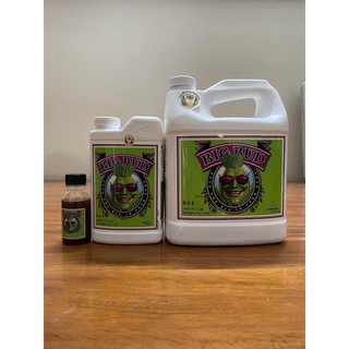 Phân bón Bigbud - Big Bud kích hoa to, tăng điểm nở hoa