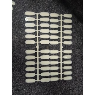 Catolo móng dạng Vĩ có 5 cái