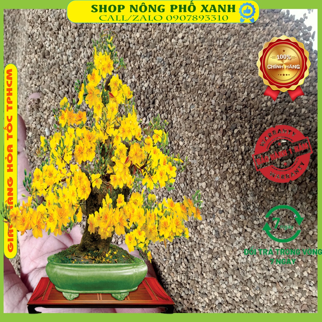 Đất trồng mai vàng,giá thể trồng mai vàng thoáng khí, chống thối rể úng cây mùa mưa do dư thừa nước tưới 1kg/túi