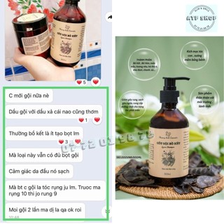 CỐT GỘI BỒ KẾT
