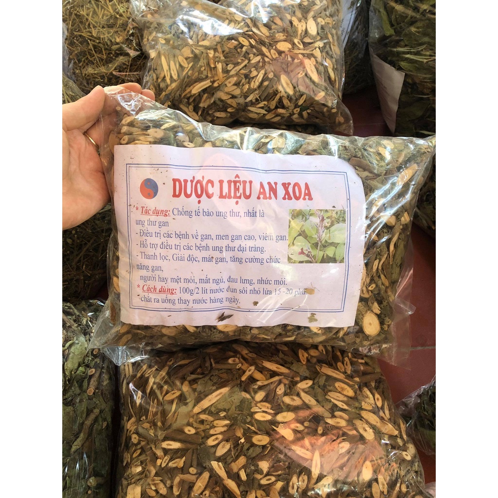 Cây An Xoa Giúp Mát Gan