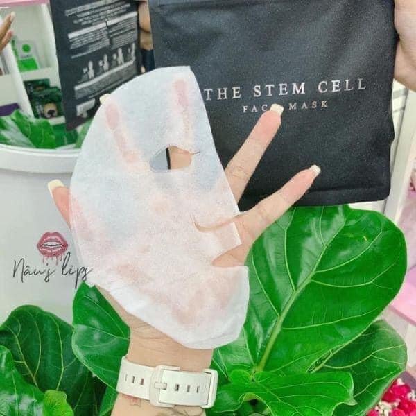 MẶT NẠ TẾ BÀO GỐC THE STEM CELL