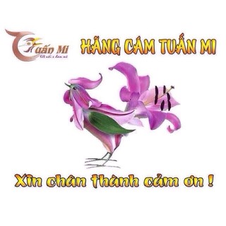 HẠT CÔN TRÙNG