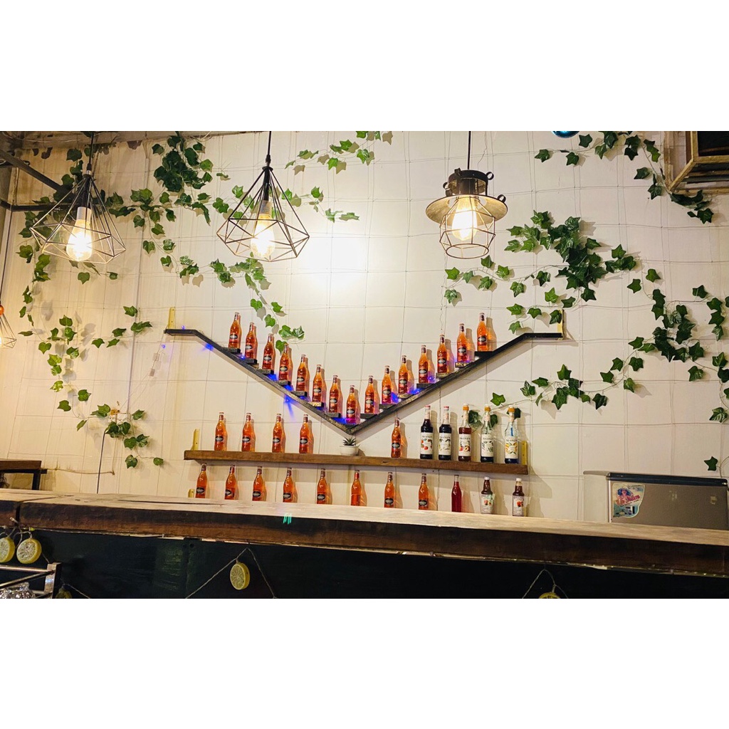 Dây lá thường xuân 2m3 trang trí decor ban công quán cafe
