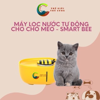 Máy lọc nước/ uống nước tự động cho chó mèo Smart Bee