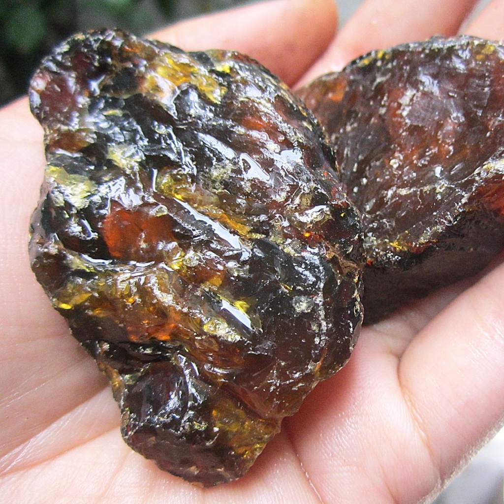 01 Viên Amber -  Hổ phách