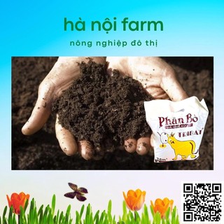 700gr phân bò xử lý hữu cơ