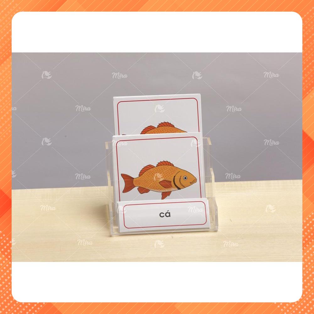 Montessori - Thẻ 3 phần các bộ phận của cá - Theo tủ động vật có khay - Tiếng Việt - Mira Toys