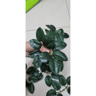 Lá hồng nhựa l 100gr