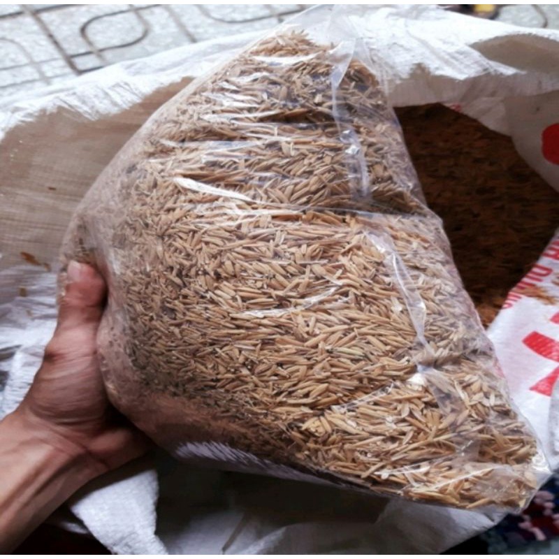 5 Ký Trấu Trồng Cây