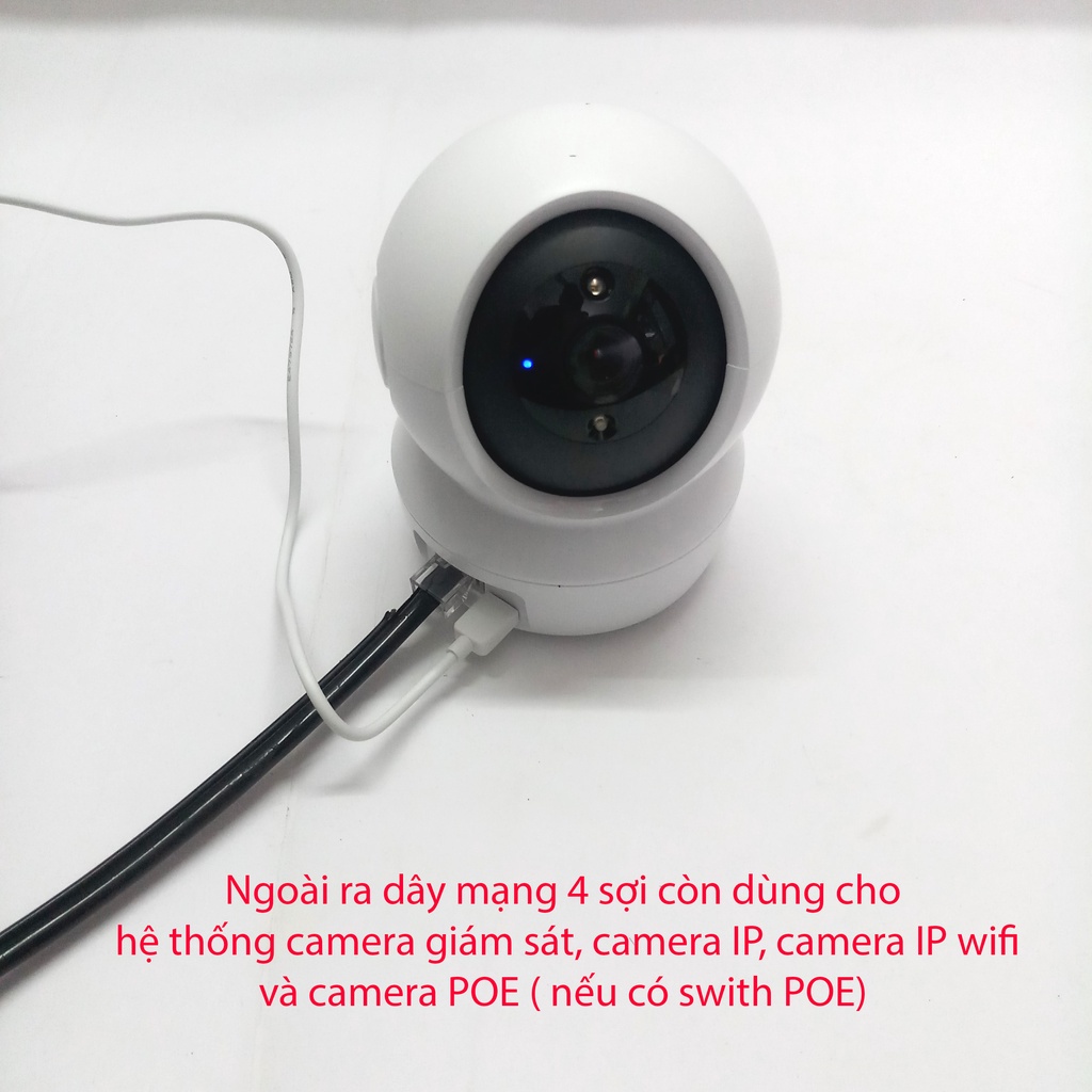 Dây Mạng Ngoài Trời Đã Bấm Sẵn 2 Đầu TEASUNG 50M 60M 70M Có Cáp Chịu Lực Chât Lượng