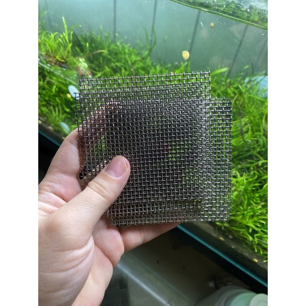 Combo 10 Vỉ lưới inox ươm rêu