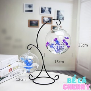 Bể Cá Mini Để Bàn Phong Thủy Hình Chữ X 24 ( Tặng kèm combo 2 phụ kiện trang trí)