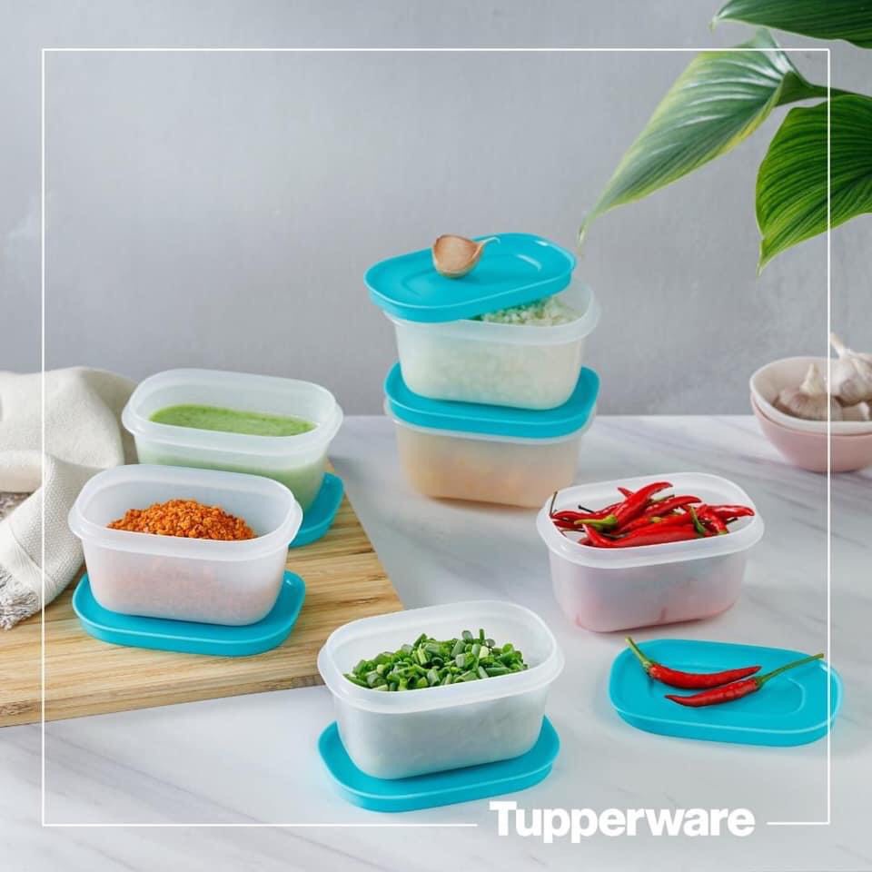 Lẻ Hộp trữ đông dẻo Mini Freezermate 170ml Tupperware bảo quản đồ ăn dặm, trữ thịt, tôm nấu canh, nhựa nguyê